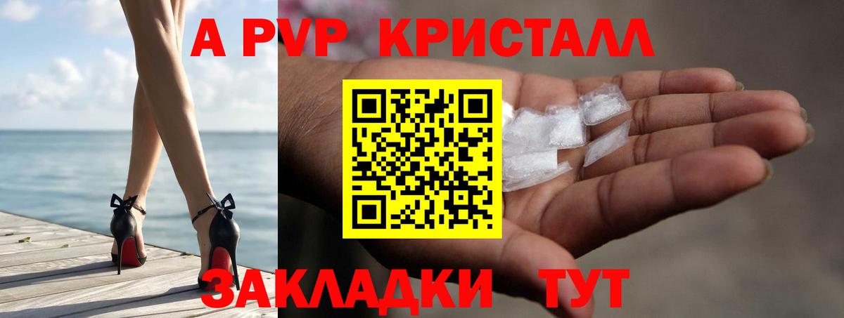 A PVP VHQ Курчалой