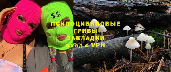 спиды Алексеевка