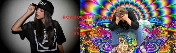 спиды Алексеевка