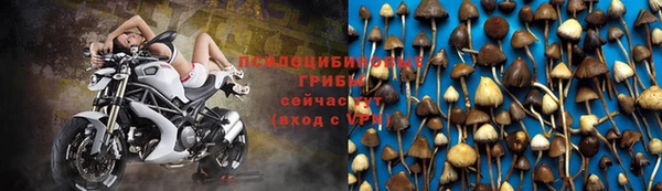 спиды Алексеевка