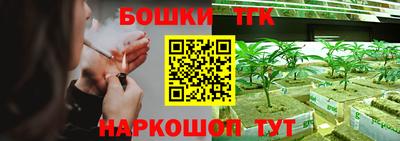 ПСИЛОЦИБИНОВЫЕ ГРИБЫ Камышлов