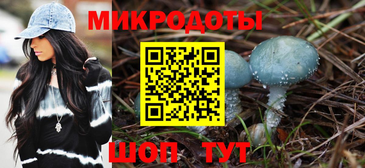 Галлюциногенные грибы мухоморы  купить наркотики цена  Галлюциногенные грибы мицелий  Курчалой  Вход с VPN 
