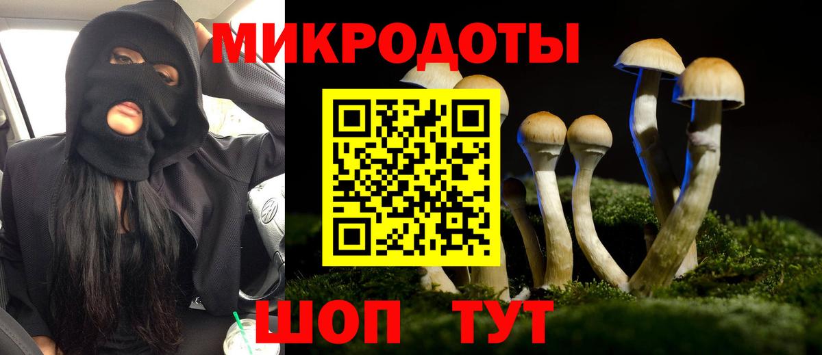 Галлюциногенные грибы Psilocybine cubensis Курчалой